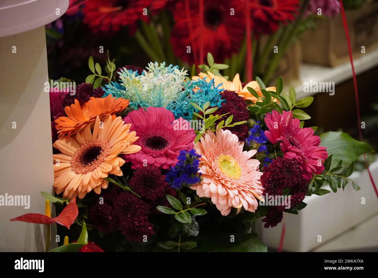 Bunte Gerbera-Blumen in einem Blumenladen Stockfoto