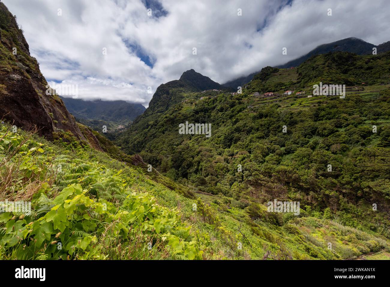 Europa Portugal Madeira Nord-Osten Nordosten Insel Küste, Meer: Ein Wanderweg führt im Nordosten der Insel an der Steilküste zwischen Boaventura und A Stockfoto