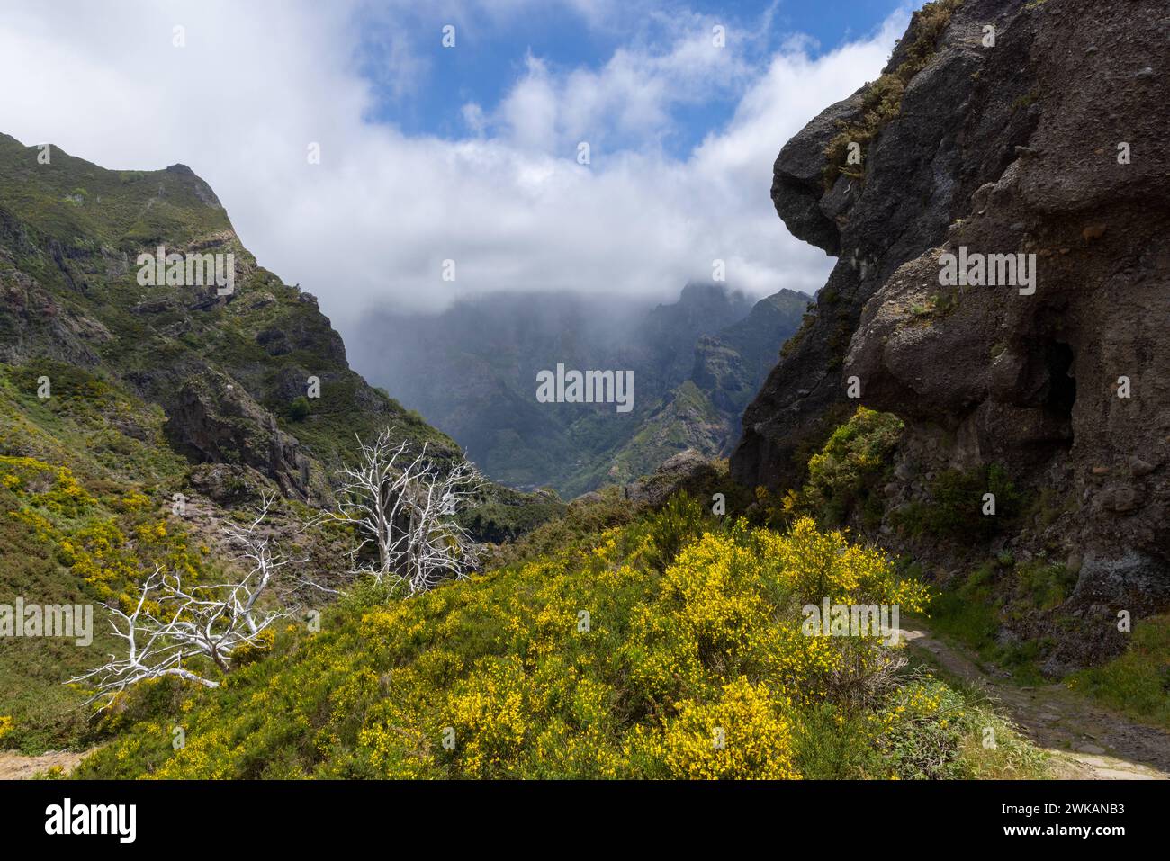 Europa Portugal Madeira Süden Jardim da Serra Insel Gebirge: Blick in das Tal mit der Ortschaft Curral das Freiras vom Wanderweg im Süden der Insel de Stockfoto