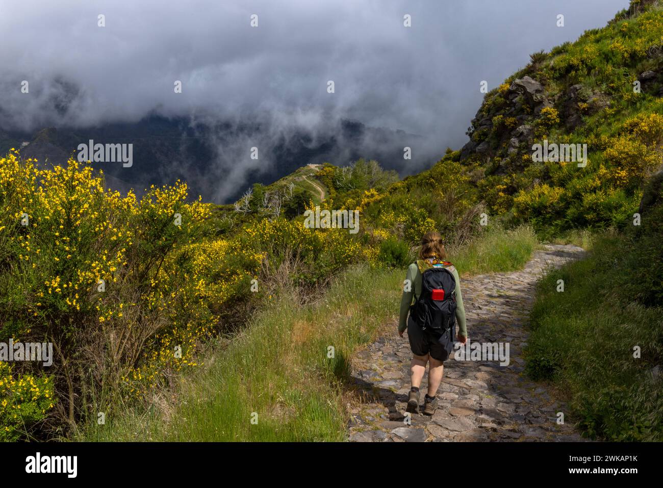 Europa Portugal Madeira Süden Jardim da Serra Insel Gebirge: Ein Wanderweg führt im Süden der Insel von Bocca da Corrida in das Inselinnere zum Encume Stockfoto