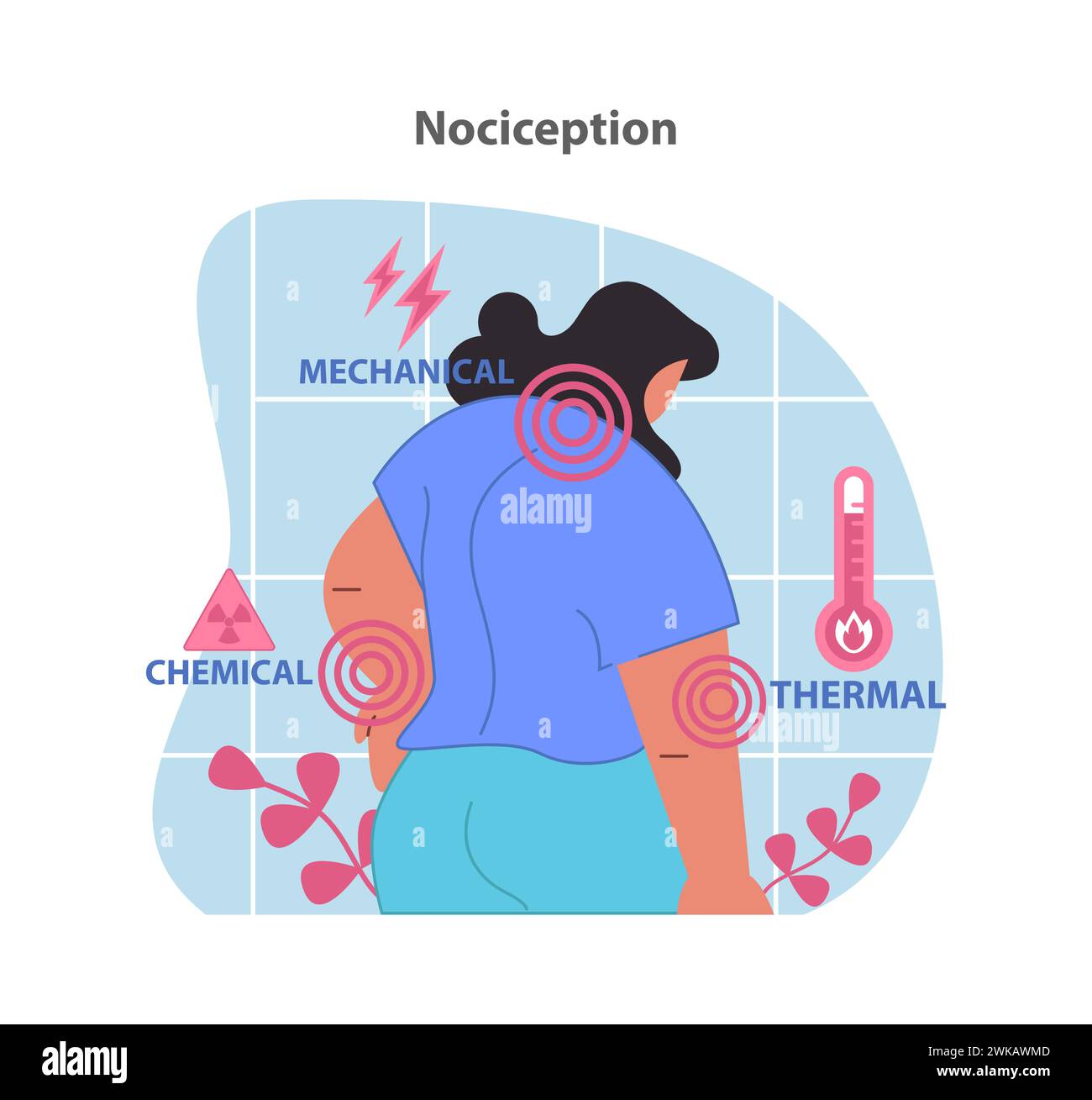 Illustration der Nozizeption. Visualisierung der Reaktion des Körpers auf mechanische, chemische und thermische Reize. Schmerzwahrnehmung und Sinnessignale. Illustration des flachen Vektors. Stock Vektor