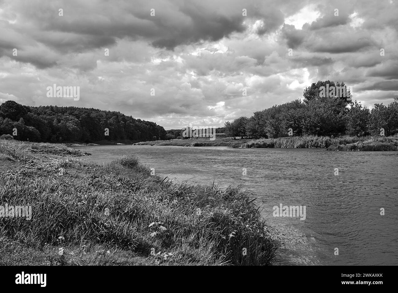 Ländliche Landschaft mit dem Fluss Warta und Wald im Sommer in Polen, monochrom Stockfoto