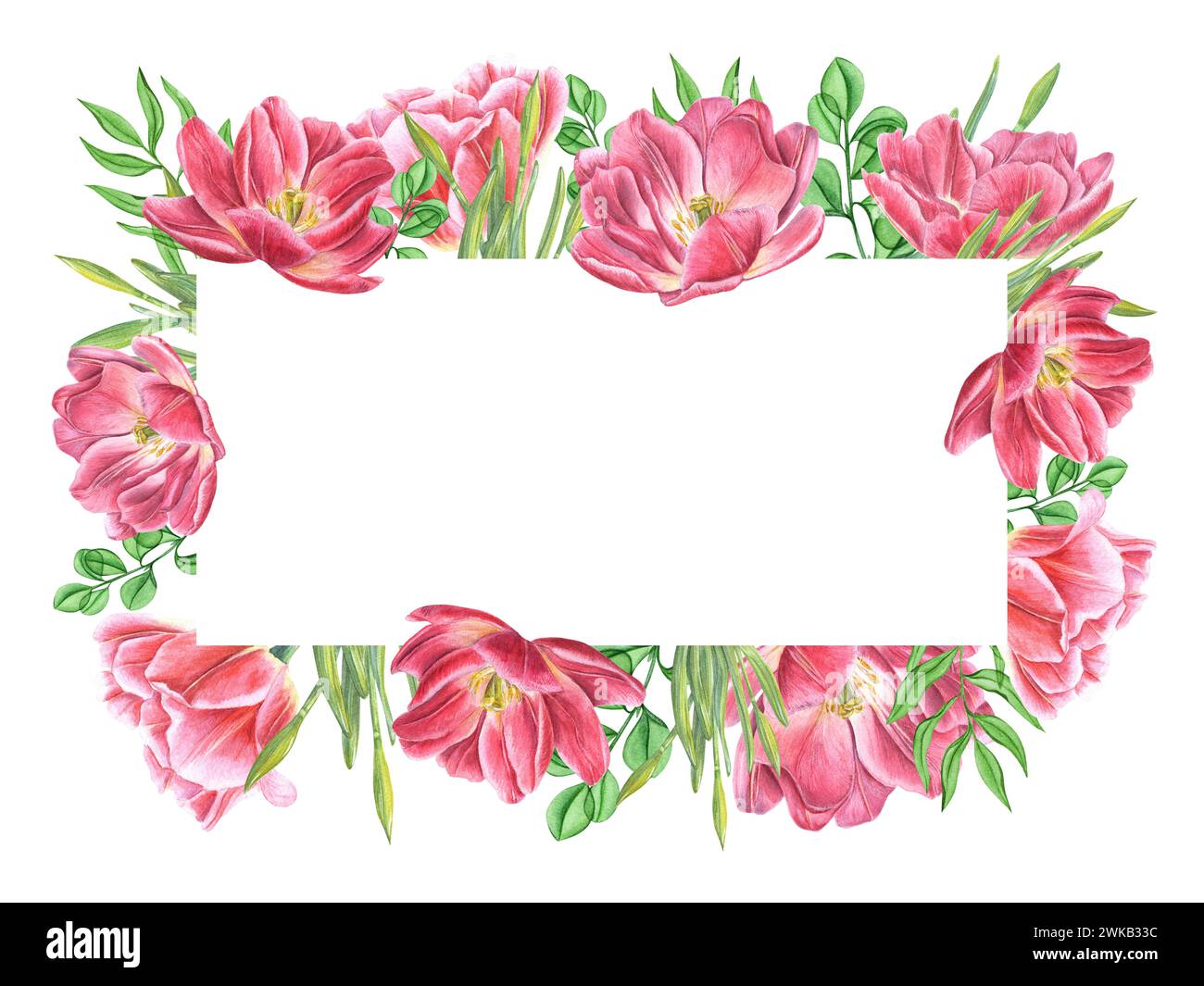 Frühlingsblumen, Blätter. Doppelte rosa Tulpen, Narzissen Knospen mit Grün. Horizontaler Rahmen mit Textraum. Aquarellabbildung. Für Einladung Stockfoto