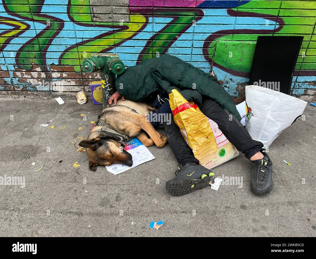 Der Mann und sein Hund schlafen auf dem Bürgersteig gleich neben der Canal Street in Chinatown in Manhattan, New York City. Stockfoto