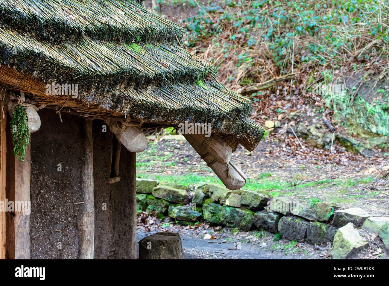 Beeston Castle ist eine der dramatischsten mittelalterlichen Burgen Englands. Ein Nachbau des bronzezeitlichen Kreishauses von A wurde gebaut. Stockfoto