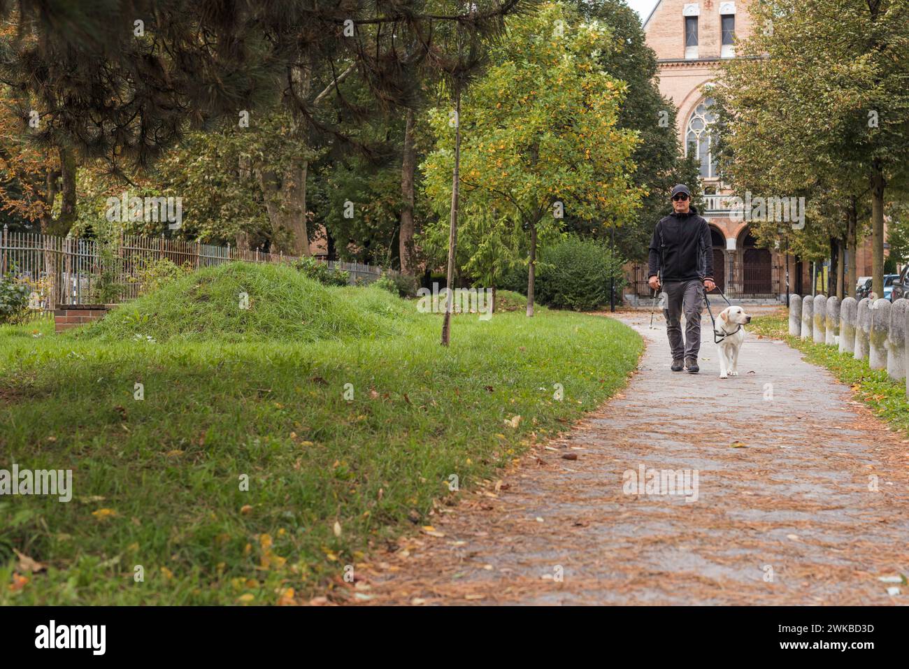 Blinde Frau, die einen angenehmen Spaziergang in einem Stadtpark mit ihrem ausgebildeten Blindenhund macht. Service Tier und Mensch Partnerschaftskonzept. Stockfoto