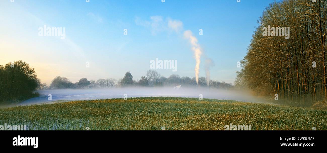 Bodennebel über einem Feld im Winter, Deutschland, Nordrhein-Westfalen, Ruhrgebiet, Witten Stockfoto