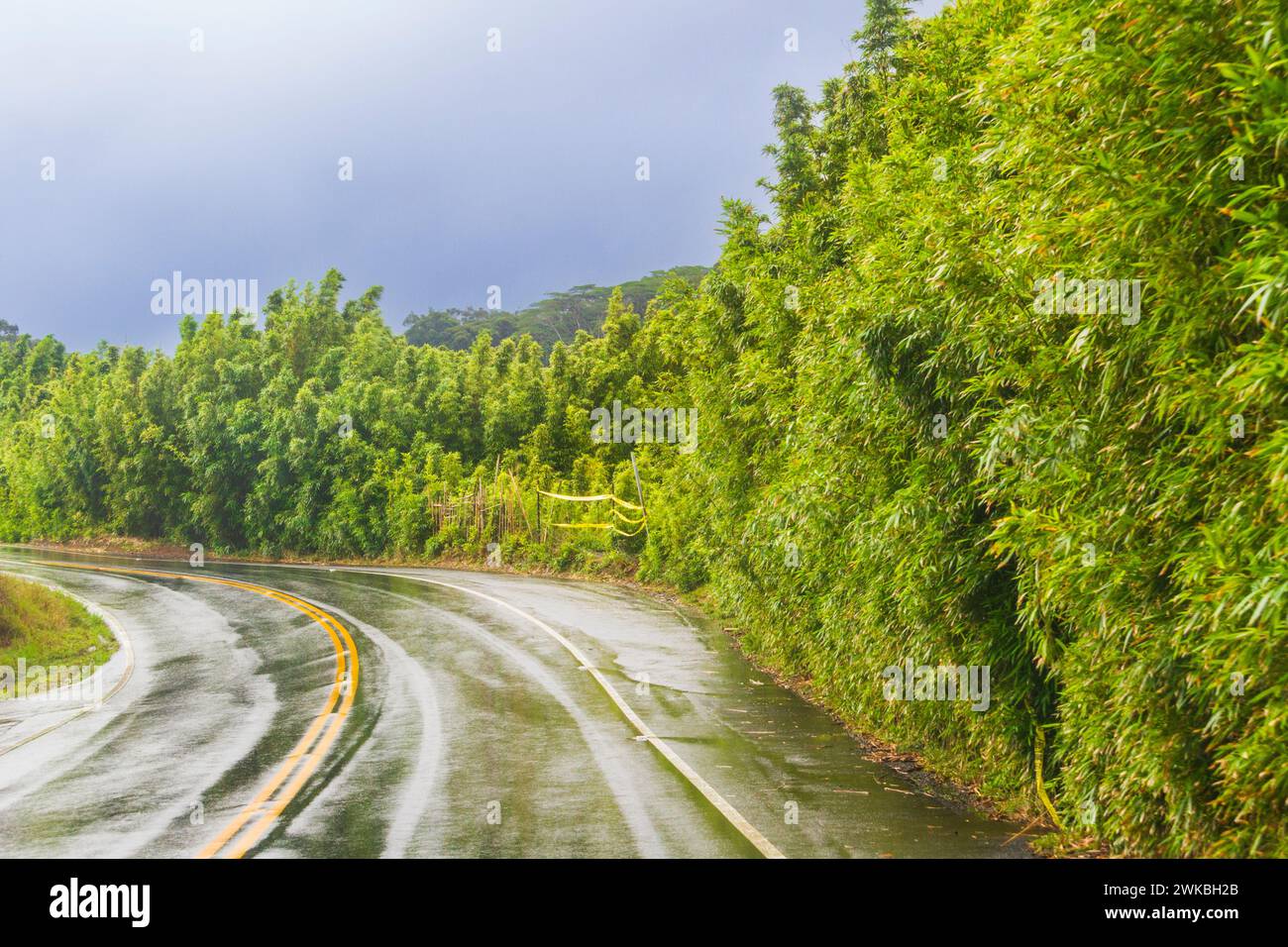 Die Straße nach Hana ist eine malerische, kurvige Straße entlang der nordöstlichen Küste von Maui. Es gibt Hunderte von Haarnadelkurven, Wasserfällen und tropischen Regenwäldern. Stockfoto