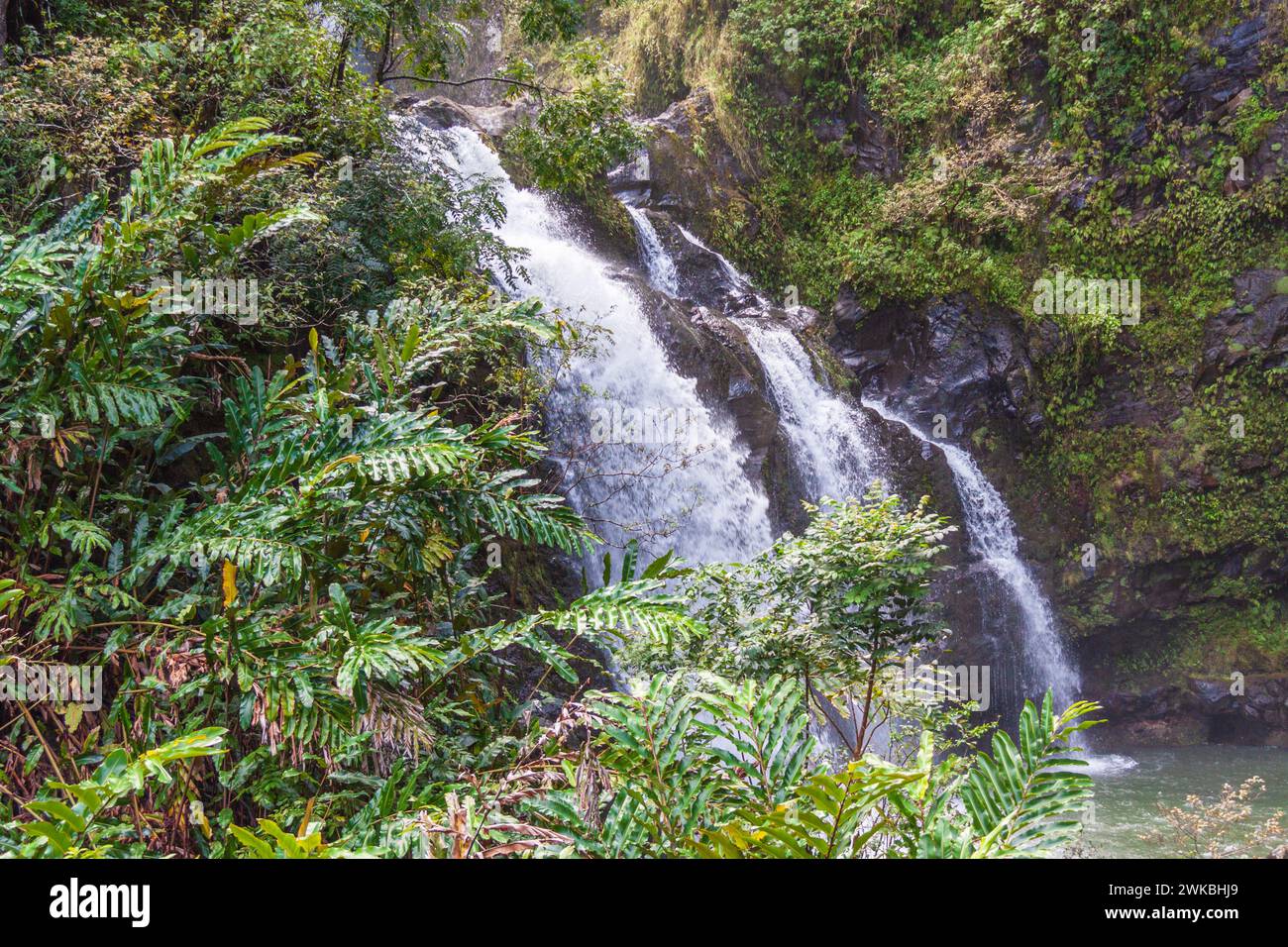 Waikani fällt oder drei Bären fällt, einer von vielen Wasserfällen entlang der Straße nach Hana auf der Insel Maui auf Hawaii. Stockfoto