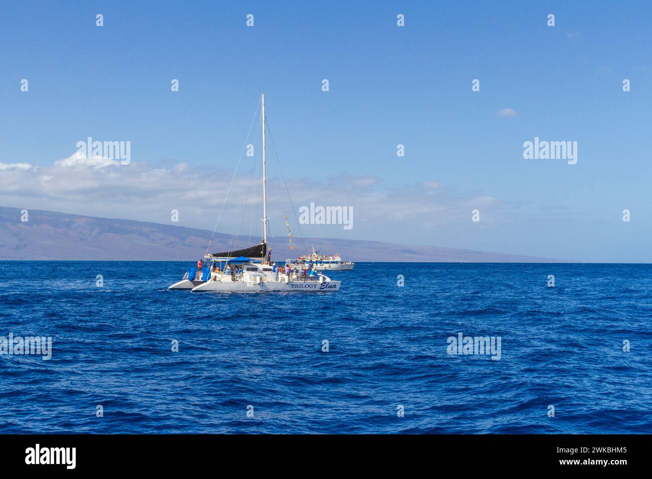 Walbeobachtungsboot vor der Küste von Maui in Hawaii. Stockfoto