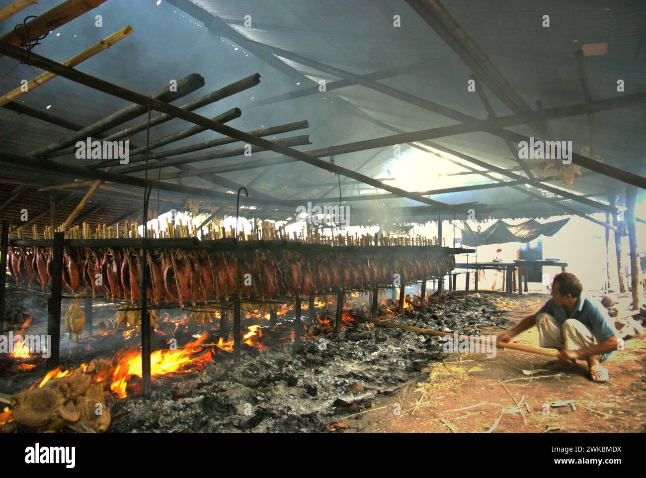 Ein Arbeiter hält die gleiche Verteilung von Kokosnussschalen aufrecht, die als Brennstoff zum Räuchern von Bonito-Thunfischfleisch in einer Heimindustrie in Bitung, Nord-Sulawesi, Indonesien, verwendet werden. Der Beitrag indigener Wissens zur technologischen Innovation bietet laut dem Bericht des Zwischenstaatlichen Ausschusses für Klimaänderungen (IPCC) aus dem Jahr 2023 eine breite Palette von Optionen für das Management unter anderem der Ernährungssicherheit. Der im Volksmund als Cakalang Fufu bekannte geräucherte Thunfisch gilt als exotisches einheimisches Lebensmittel und könnte eine alternative Lösung für den Umgang mit den Auswirkungen des Klimawandels auf den Ozean werden. Stockfoto