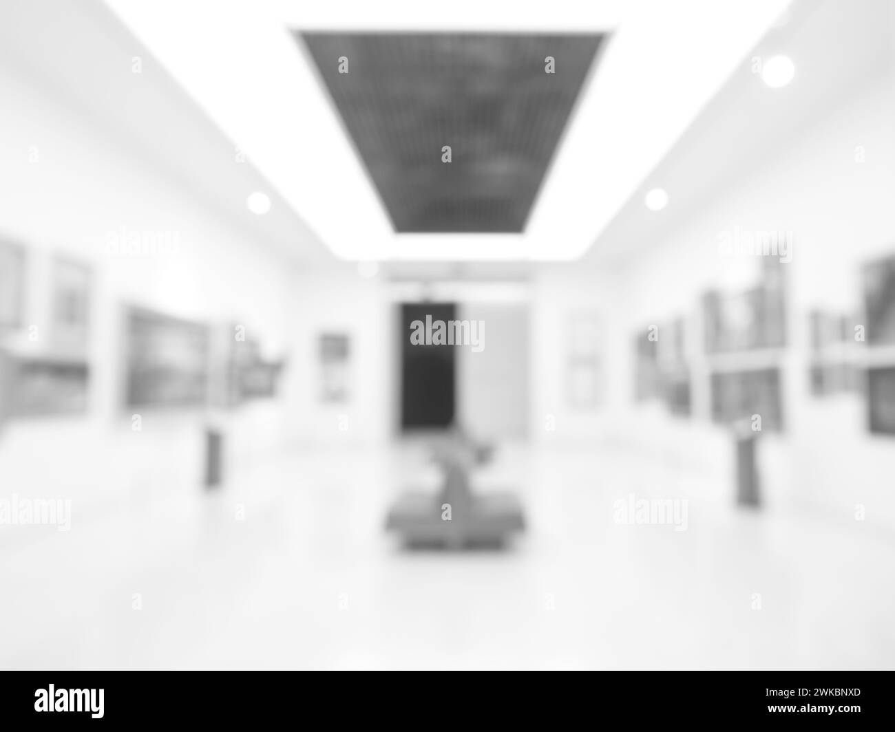 Verschwommene perspektivische Fotoszene der Kunstausstellung in der Galerie oder im Museum mit Sitz, Gemälden, Künstlerarbeiten, Lichtdesign und Raumdekoration. Abstract b Stockfoto