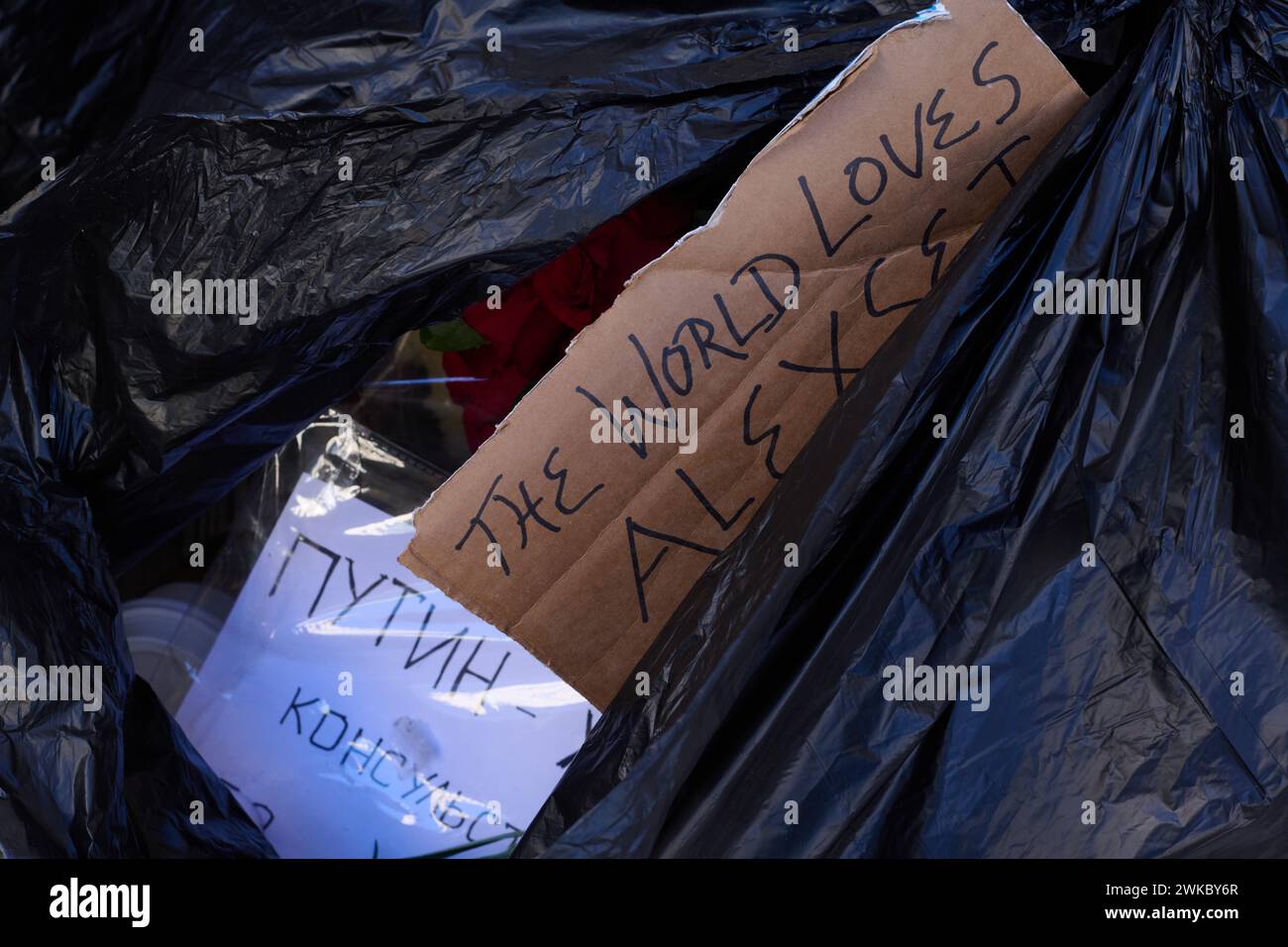 New York, New York, USA. Februar 2024. Ein Schild mit der Aufschrift "die Welt liebt Alexsei" blickt aus einem teilweise verschlossenen Müllsack, zusammen mit frischen Rosen und Nelken, die von einer großen Gedenkstätte am Tag zuvor, vor der russischen Botschaft, entfernt wurden, um den russischen Anwalt, Aktivisten und Führer der Oppositionspartei zu ehren. Alexej Nawalny nach seinem jüngsten Tod in der abgelegenen arktischen Strafkolonie, wo er inhaftiert wurde. Die Müllsäcke waren gegenüber der Botschaft. Quelle: ZUMA Press, Inc./Alamy Live News Stockfoto