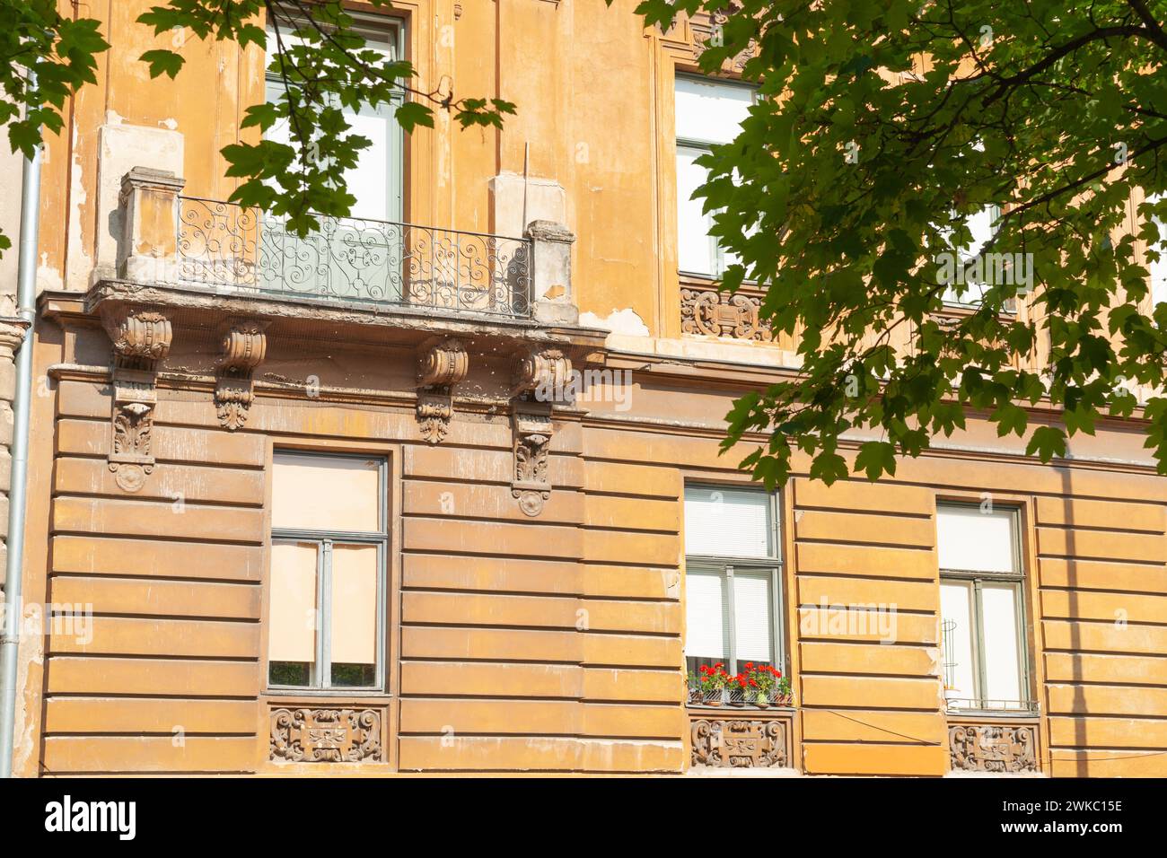 Außenwand des Gebäudes mit Fensterreihen und roten Geranien im Topf unter einem in Zagreb Kroatien. Stockfoto