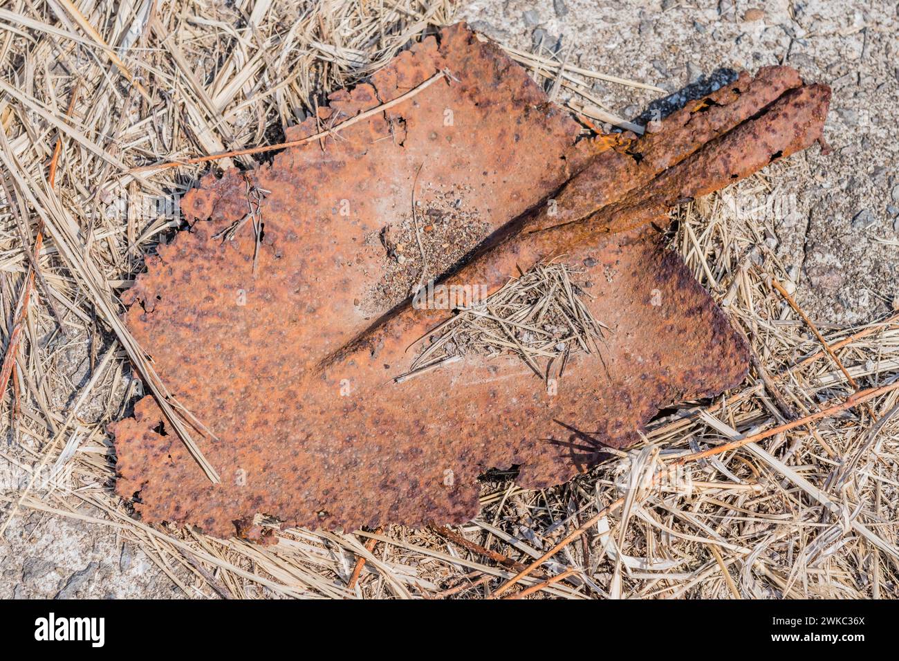 Verrostete Reste von Metallspatschaufeln auf Beton und getrocknetem Gras in Südkorea Stockfoto