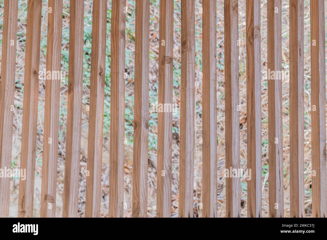 Vertikale Holzlatten in der Wand des Gebäudes mit verschwommenem grasbewachsenem Hügel im Hintergrund in Südkorea Stockfoto