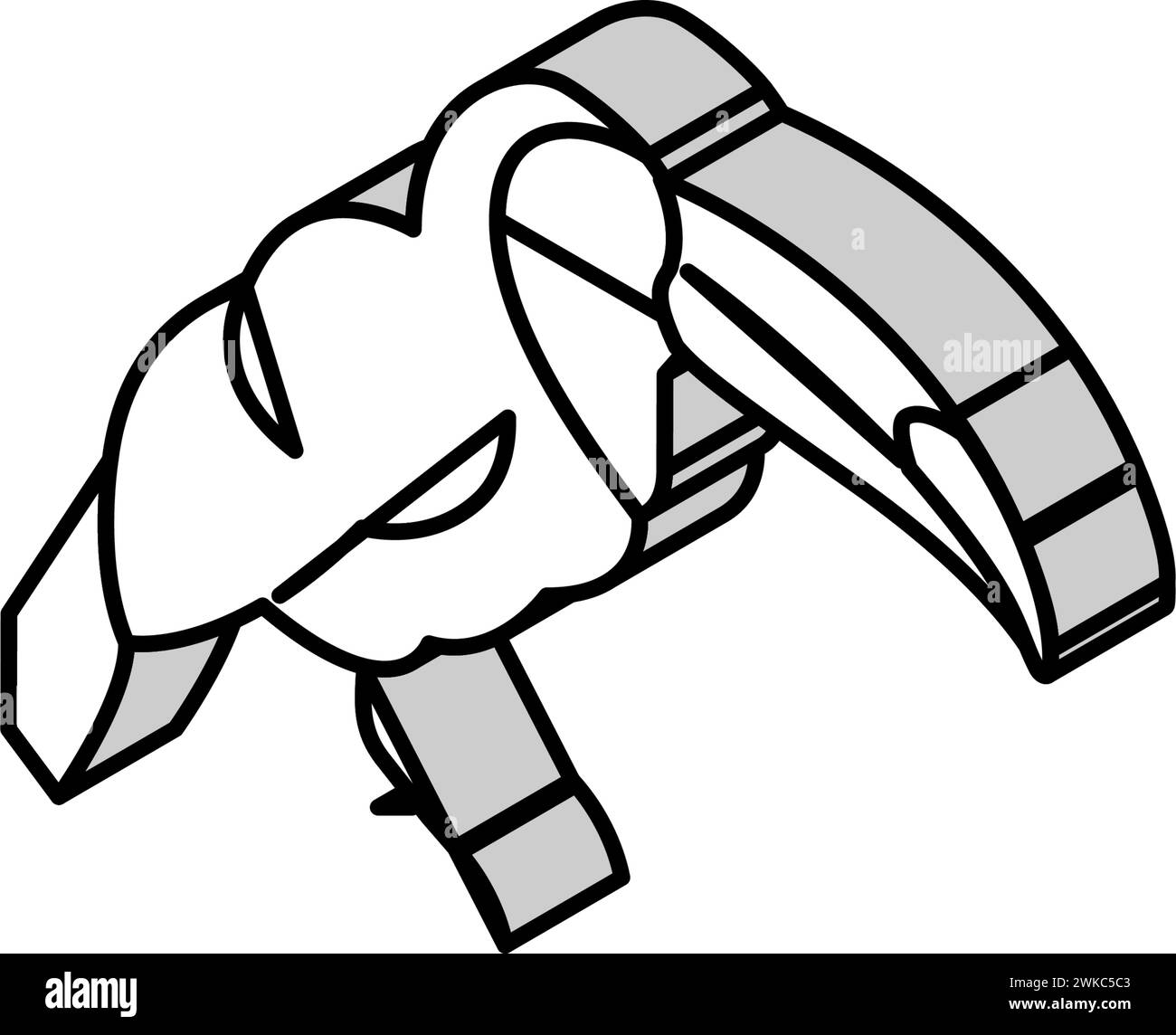 Tukan exotischer Vogel isometrische Icon Vektor Illustration Stock Vektor