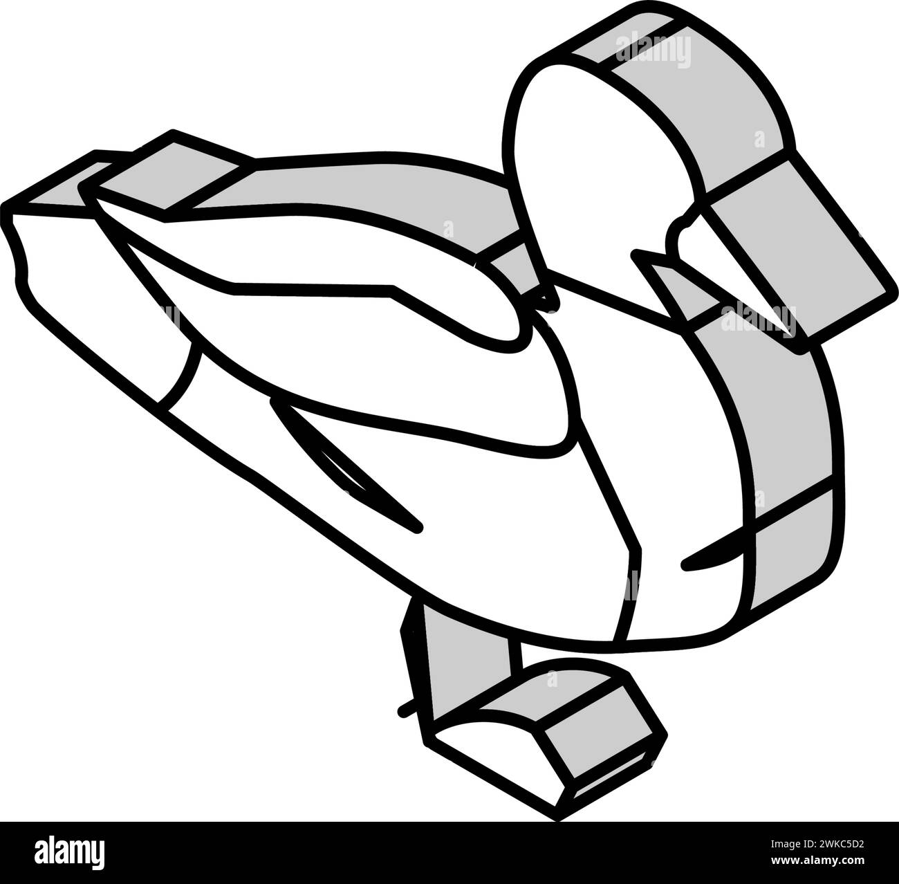Entenvogel isometrische Icon Vektor-Illustration Stock Vektor