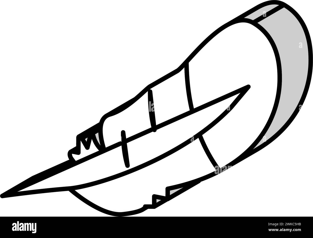Isometrische Symboldarstellung für Federvögel Stock Vektor