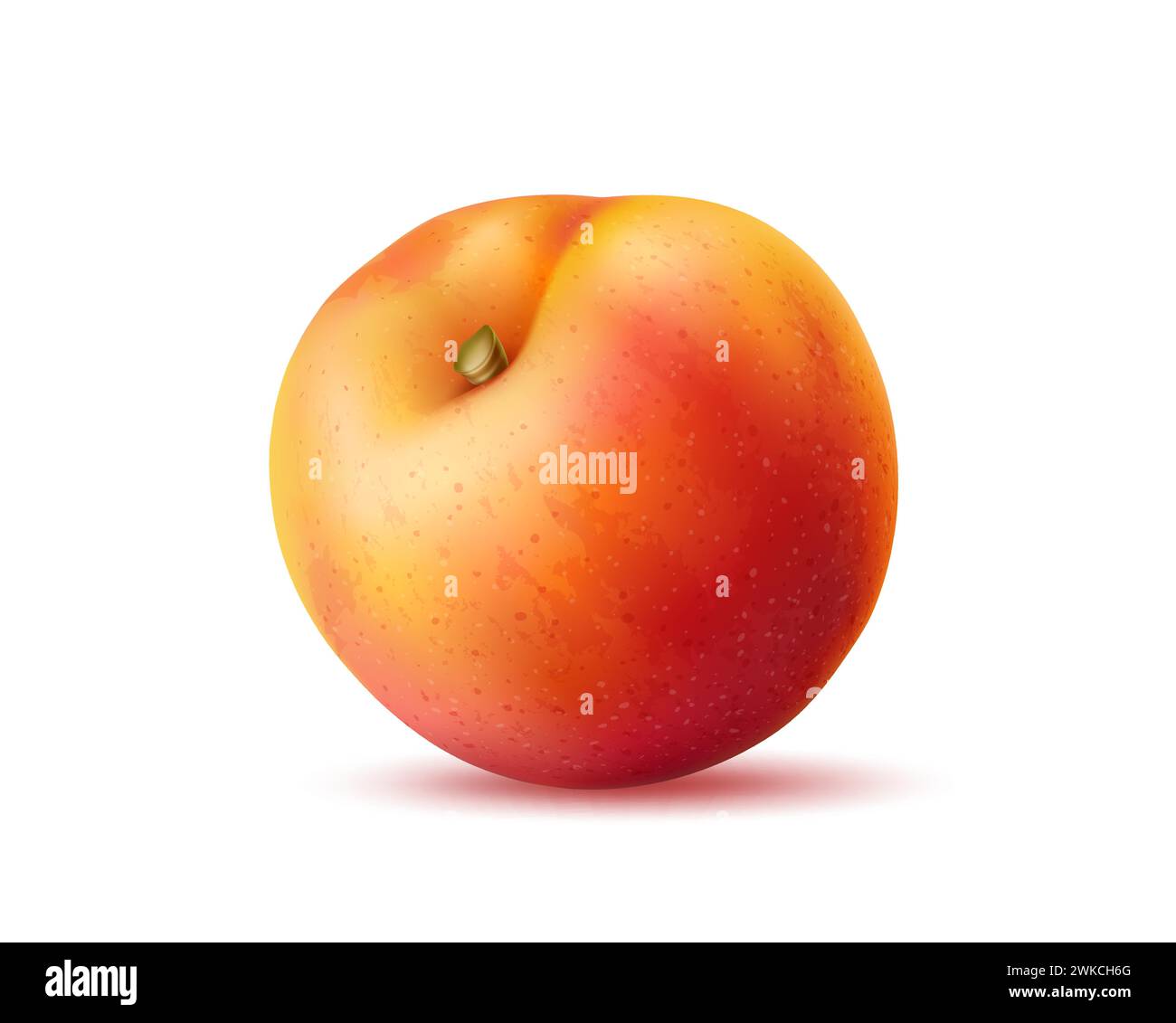 Samtig saftig Stock-Vektorgrafiken kaufen - Alamy