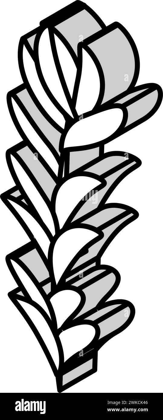 Rotala rotundifolia Seetang isometrische Icon Vektor-Illustration Stock Vektor