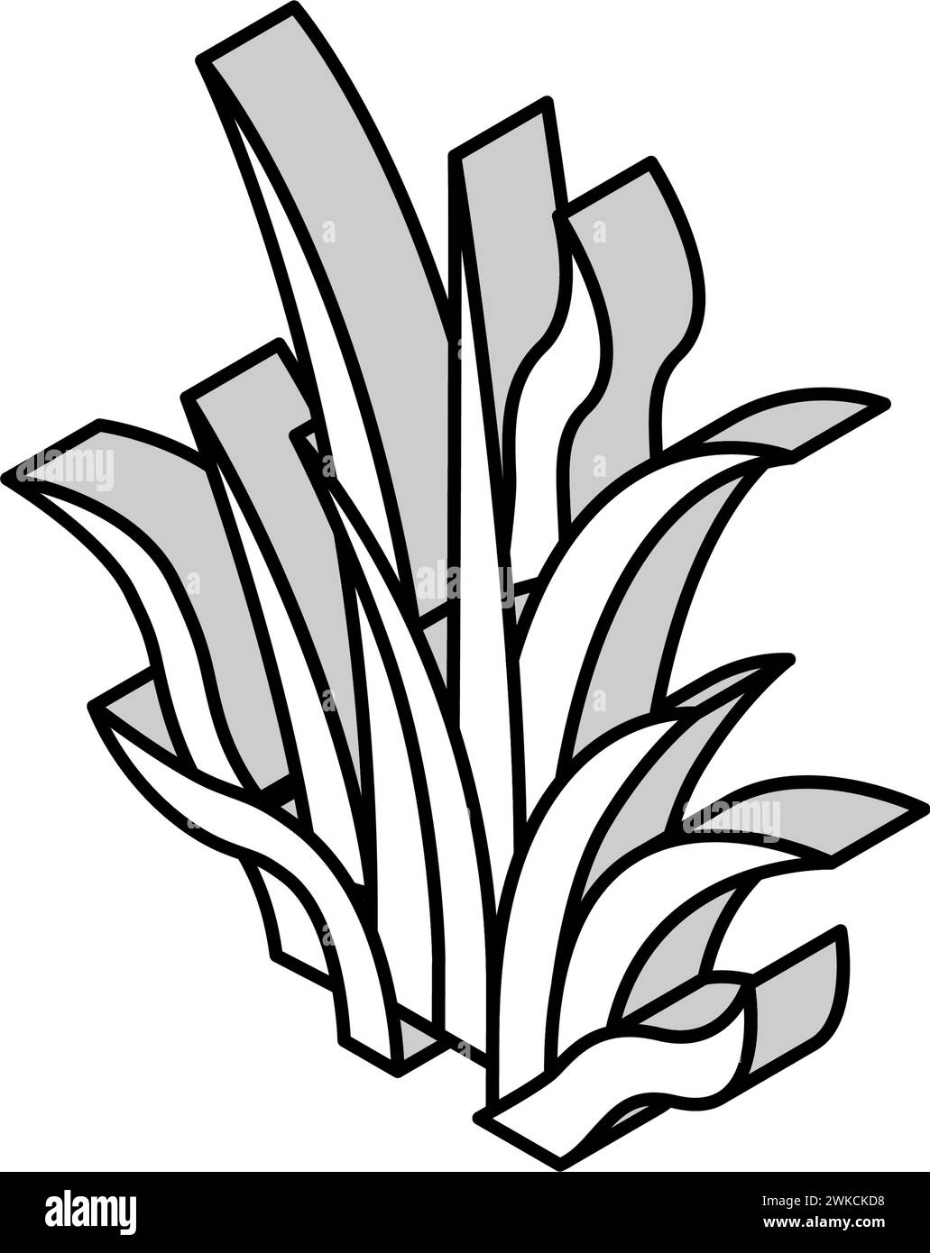 Pygmy Kettenschwert isometrische Icon Vektor Illustration Stock Vektor