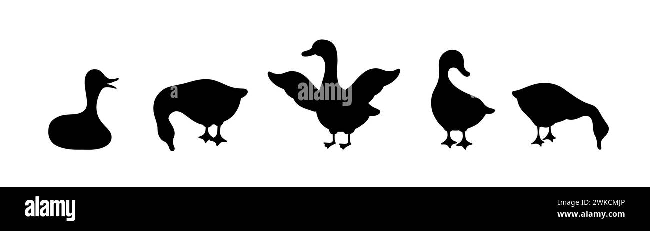 Set Gänse-Silhouette. Haus- und Wildenten auf weißem Hintergrund. Landwirtschaftliche Vögel auf dem Bauernhof. Ländliche Tierwelt. Handgezeichneter Druck. Vektor Stock Vektor