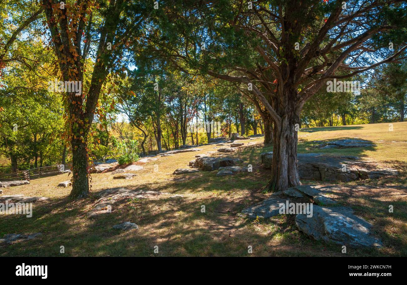 Das Stones River National Battlefield im Rutherford County, Tennessee, USA Stockfoto