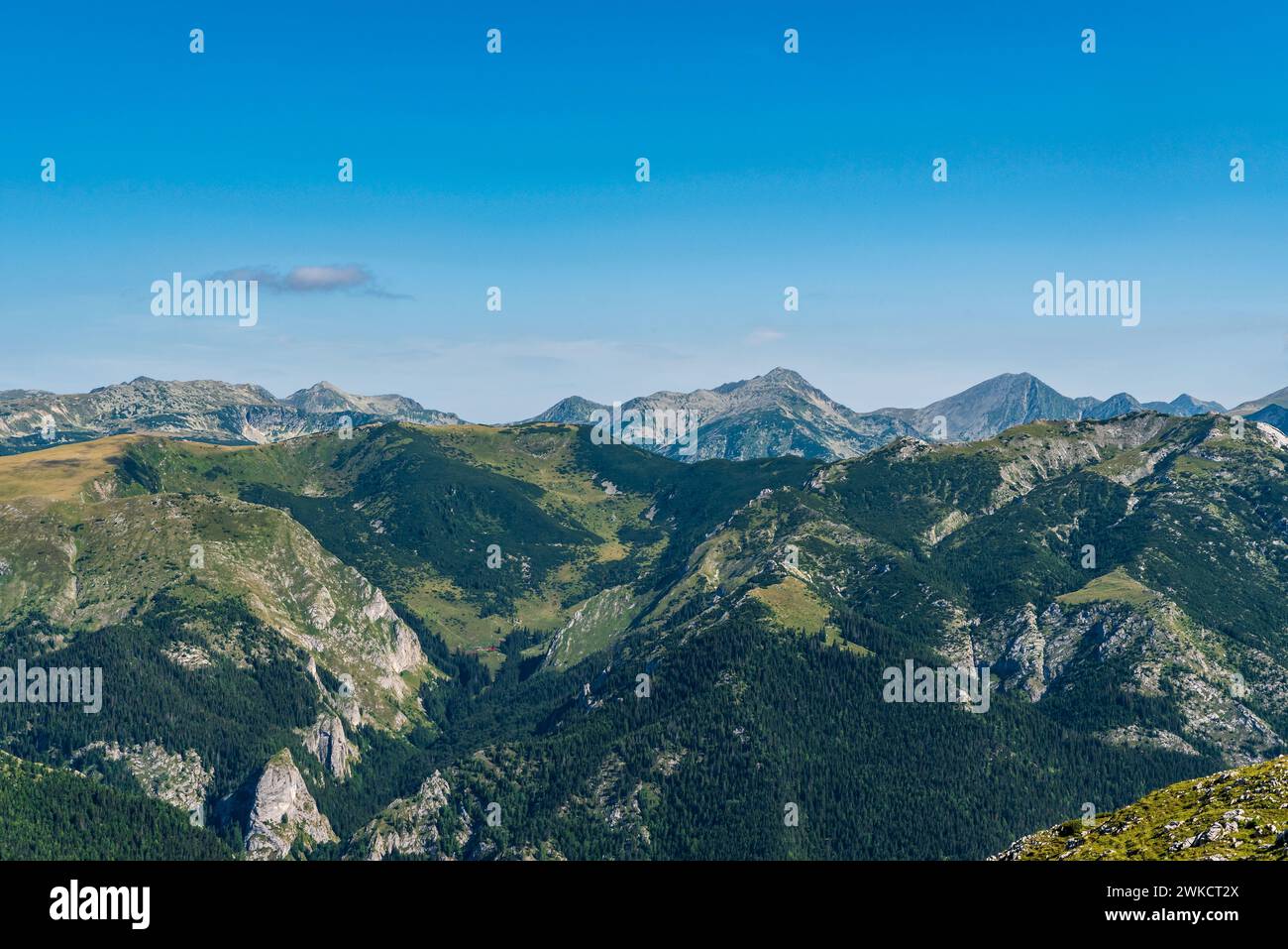 Retezat Berge vom Gipfel des Cadea Oslei in den Valcan Bergen in Rumänien an einem schönen Sommertag Stockfoto