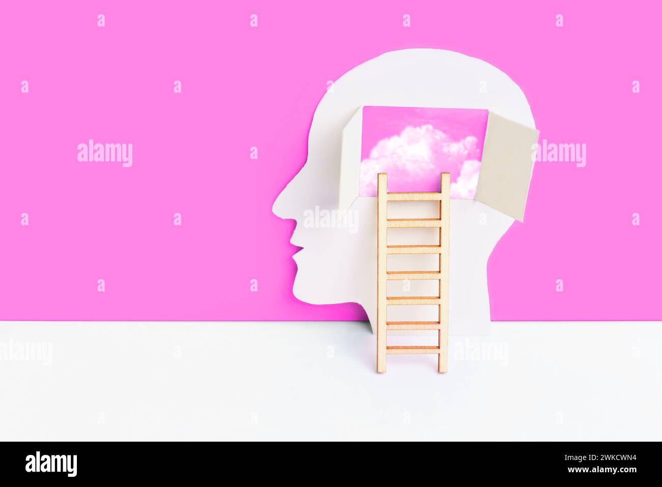 Menschlicher Kopf Papierausschnitt und kleine Leiter zur Zusammensetzung des Hirnbereichs auf rosa-weißem Hintergrund. Verständnis und Selbstentdeckungskonzept mit einem Stockfoto