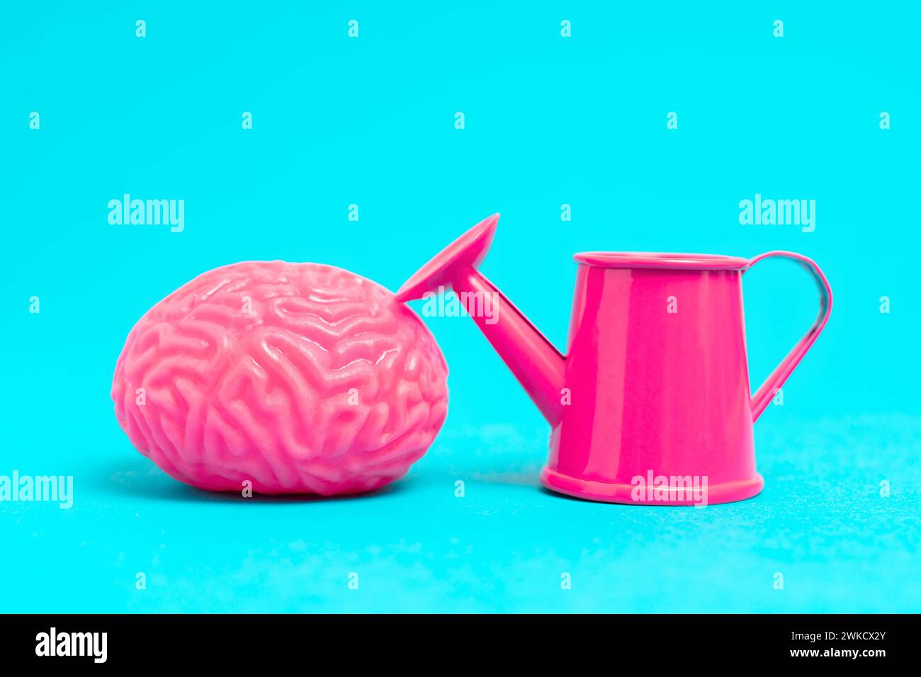 Nahaufnahme eines Spielzeugmodells eines menschlichen Gehirns und eines kleinen rosa Gießkanals vor blauem Hintergrund, symbolisiert die Förderung von Ideen und der Gros Stockfoto