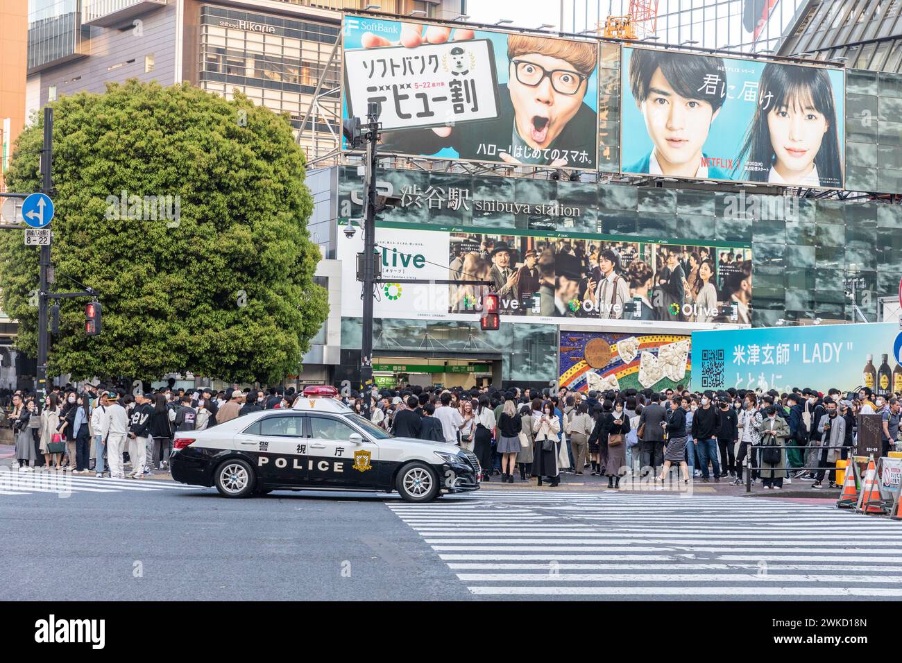 Shibuya Station in Tokio, japanisches Polizeiauto nähert sich Shibuya über Pelikan, Tokio, Japan, Asien, 2023 Stockfoto