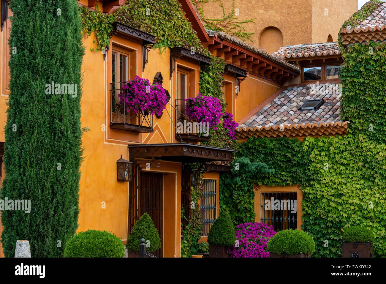 Fassade mit lila Blumen Stockfoto