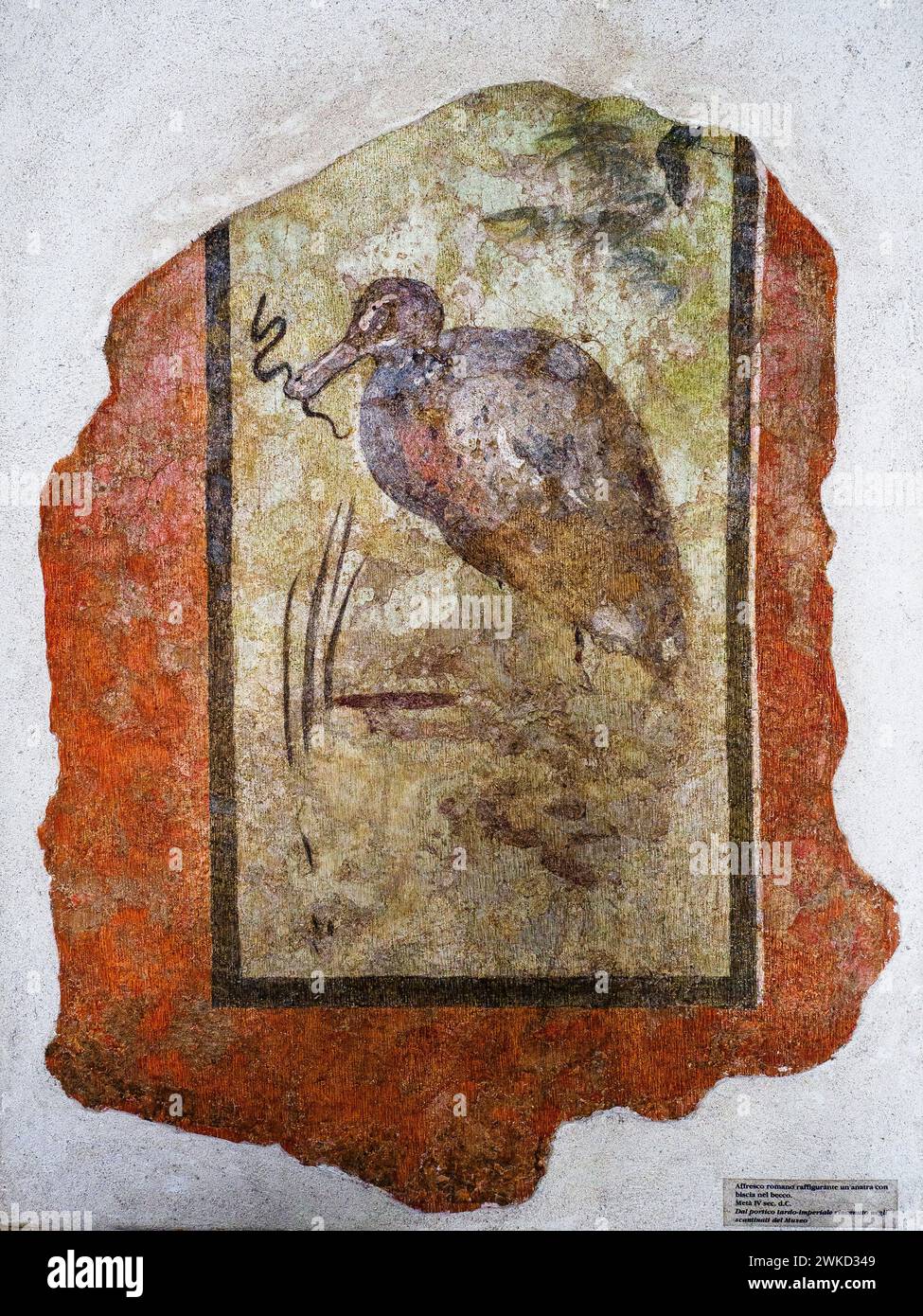 Römisches Fresko mit einer Ente mit einer Schlange im Schnabel - Mitte des 4. Jahrhunderts n. Chr. - Museo di Scultura Antica Giovanni Barracco, Rom, Italien Stockfoto