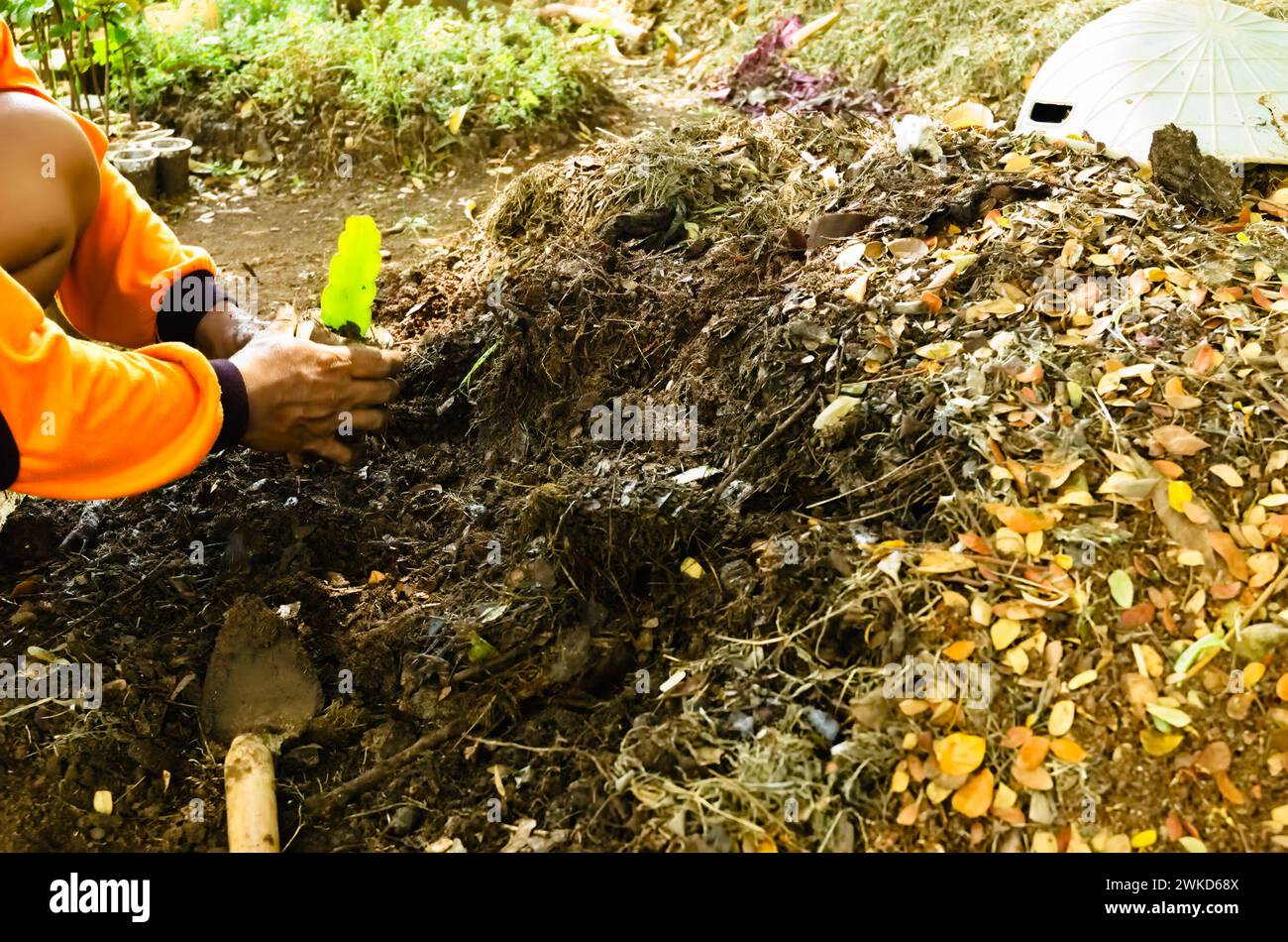 Ein Mann pflanzt Pflanzensamen in einem Becher aus Boden, gemischt mit natürlichem Kompost. Stockfoto