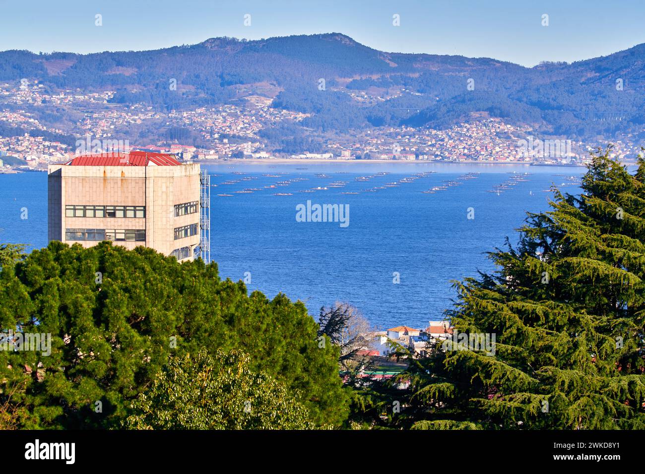 Ria de Vigo, Blick vom Monte do Castro Park, im Hintergrund Muschelfarmen und die Gemeinde Moaña im Morrazo, Vigo, Pontevedra, Galici Stockfoto