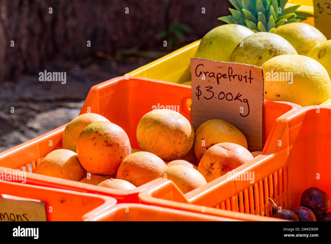 Zitrusfrüchte einschließlich Grapefruit auf einem Wochenendmarkt in der Stadt Mossman im Norden von Queensland, Australien Stockfoto