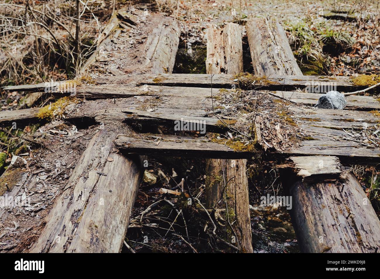Eine alte Holzbrücke überspannt einen kleinen Fluss, der von einem umgefallenen Baumzweig blockiert wird Stockfoto