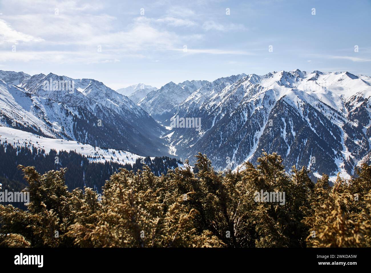 Karakol Skigebiet in Kirgisistan. Blick von der Spitze der Piste auf schneebedeckte hohe Berge. Winterlandschaft, Bergkette, braune Büsche in der Stockfoto