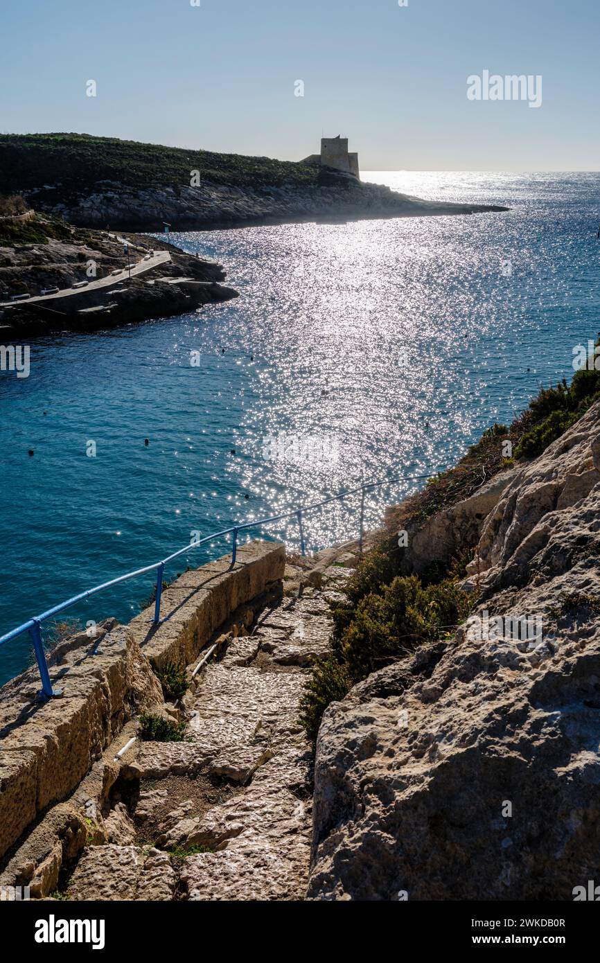 Blick über die Xlendi Bay in Richtung Xlendi Tower, Xlendi, Gozo, Malta Stockfoto