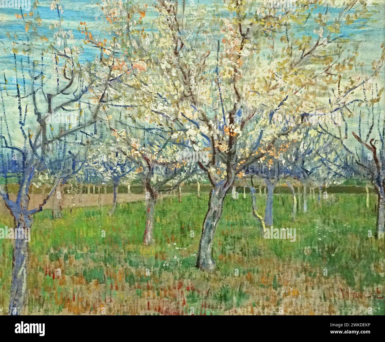 The Pink Orchard (1888) von Vincent van Gogh (1853–1890) Stockfoto