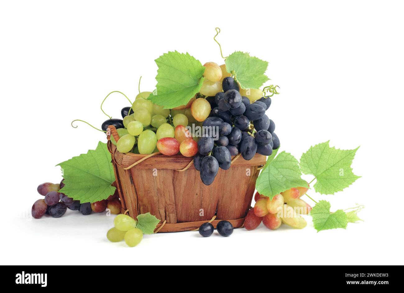 Traubenbündel. Herbst Hintergrund. Die Vielfalt reifer, farbenfroher Trauben als Symbol für den Herbstreichtum. Korb mit Trauben. Weinbereitung. Isoliert. D Stockfoto