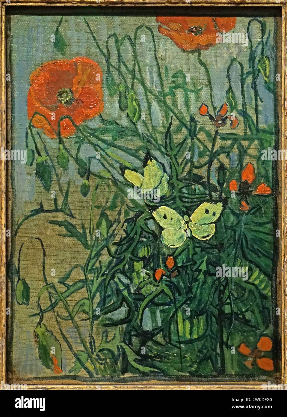 Schmetterlinge und Mohnblumen (1890) von Vincent van Gogh (1853-1890) Stockfoto