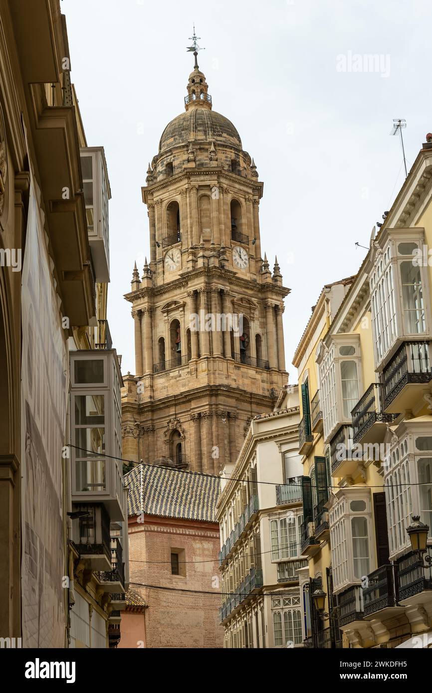 Der berühmte Glockenturm der Kathedrale von Malaga erhebt sich majestätisch zwischen traditionellen spanischen Gebäuden im Herzen der Stadt. Stockfoto