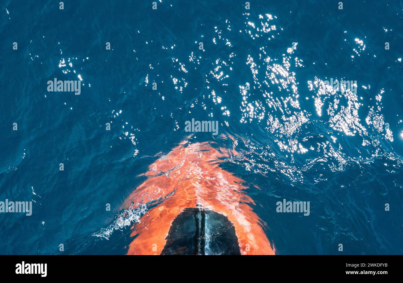 Knollenbogen eines Segelkreuzschiffes. Stockfoto