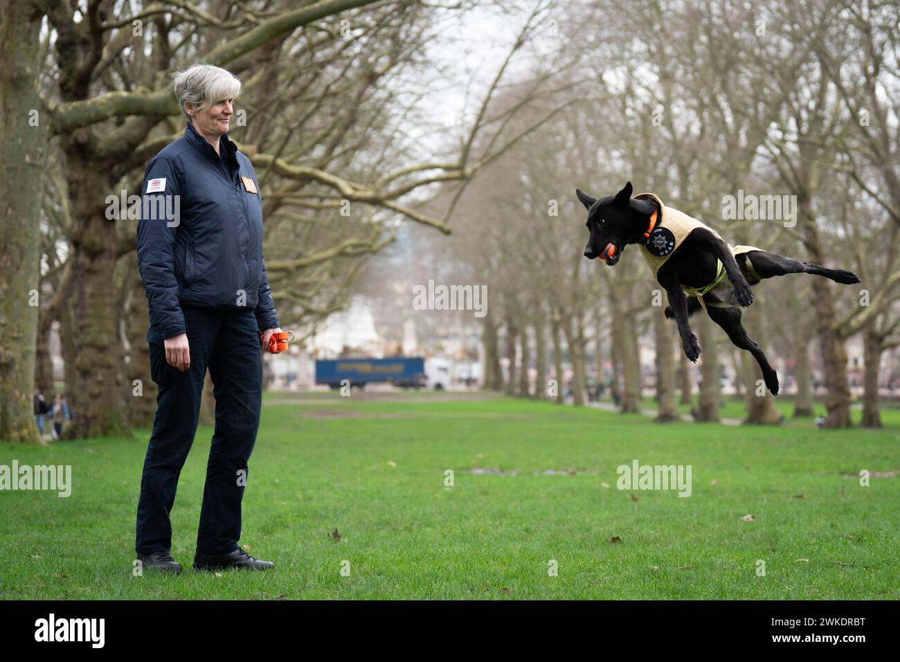 Finalistin des Crufts Canine Held Award, Such- und Rettungshund Vesper a Belgischer Malinois mit ihrem Hundeführer Niamh Darcy, bei einem Launch Event für Crufts 2024 in Green Park, London. Bilddatum: Dienstag, 20. Februar 2024. Stockfoto