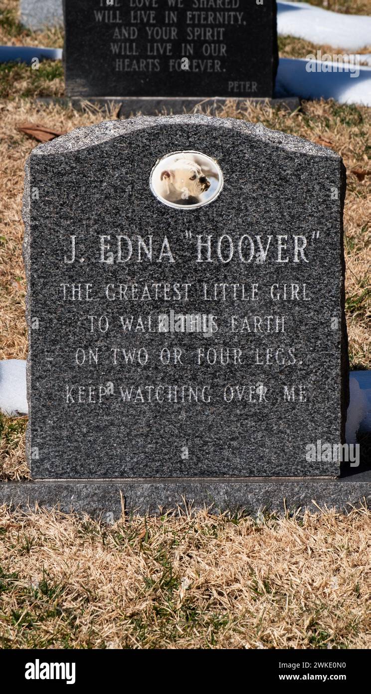 Ein skurriler Grabstein für J Edna Hoover, eine Hündin. Auf einem Tierfriedhof in Westchester, New York. Stockfoto