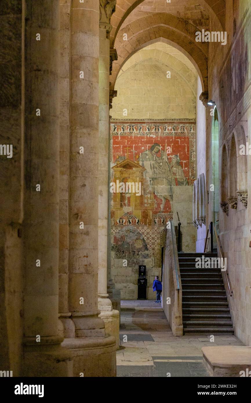 Catedral de la Asunción de la Virgen, Catedral vieja, Salamanca, Comunidad Autónoma de Castilla y León, Spanien. Stockfoto