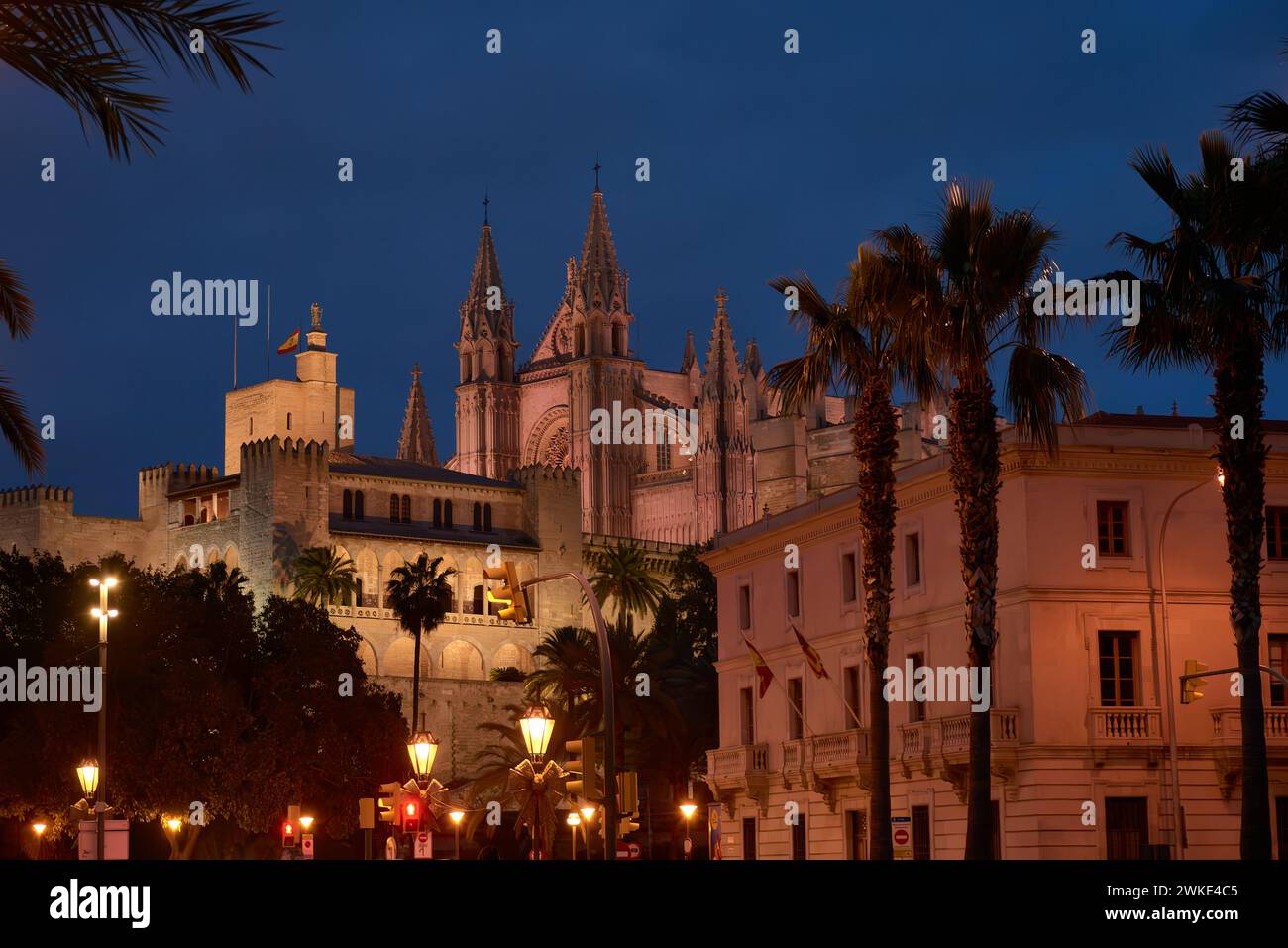 Kathedrale La Seu am Passeig de Sagrea, nachts, Palma de Mallorca, Balearen, Spanien, Europa Stockfoto