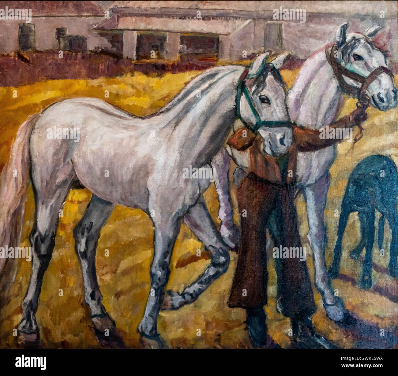 Francisco Iturrino, Pferde, um 1913, Öl auf Leinwand, Alava Fine Arts Museum, Vitoria, Baskenland, Spanien. Stockfoto